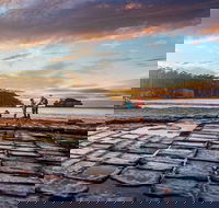 Port Arthur Private Charter Service - Accommodation VIC