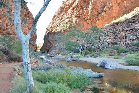 Alice Springs, Uluru Ayers Rock & Kings Canyon 8 Days Touring Package - Accommodation VIC 2