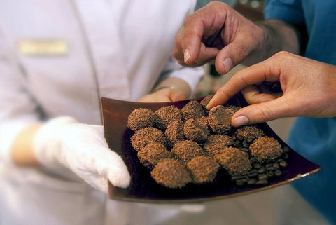 Explore Adelaide City Tour: Haigh's Tasting Chocolate & Adelaide Oval Tour - Accommodation VIC 2