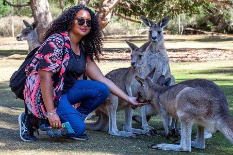 3-Day Tasmania Combo: Hobart To Launceston Active Tour - Accommodation VIC 5