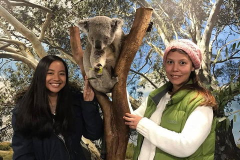Australia Multi-City Attractions Pass - Accommodation VIC 3