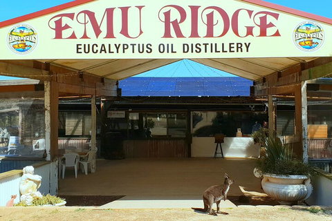 2-Day Kangaroo Island Safari From Adelaide - Accommodation VIC 4