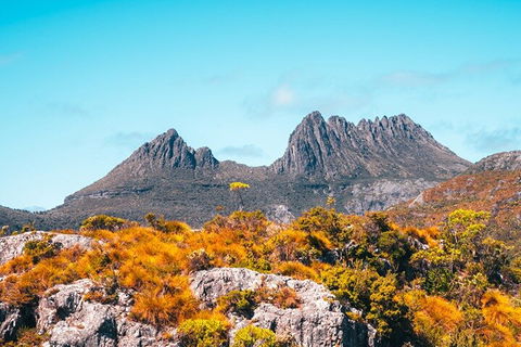 Cradle Mountain National Park Day Tour From Launceston - Accommodation VIC 1