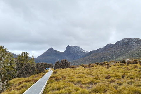 Cradle Mountain National Park Day Tour From Launceston - Accommodation VIC 2