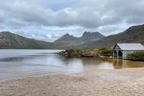 Cradle Mountain National Park Day Tour From Launceston - Accommodation VIC 4