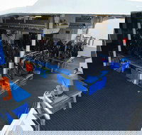 Silverswift Outer Great Barrier Reef Dive and Snorkel Cruise from Cairns - Accommodation VIC