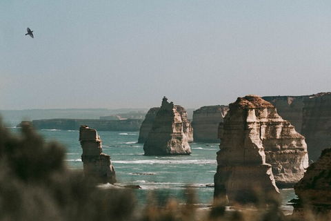 Half-Day Or Full-Day Tour With Private Guide From Melbourne - Accommodation VIC 0