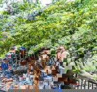 Cape Tribulation Mossman Gorge and Daintree Rainforest Day Trip from Cairns or Port Douglas - Accommodation VIC