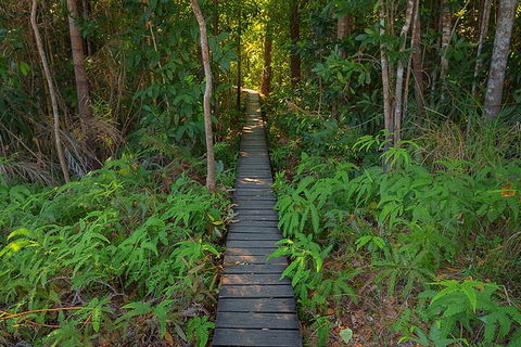 One Day Litchfield Park Adventures - Accommodation VIC 4