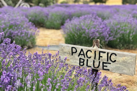 Kangaroo Island Half Day Food And Wine Trail Tour - Accommodation VIC 5