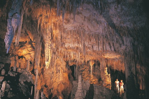 4 Day Tour: Albany, Margaret River, Valley Of The Giants TreeTop Walk From Perth - Accommodation VIC 1