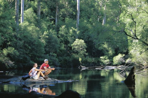 4 Day Tour: Albany, Margaret River, Valley Of The Giants TreeTop Walk From Perth - Accommodation VIC 3