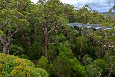 4 Day Tour: Albany, Margaret River, Valley Of The Giants TreeTop Walk From Perth - Accommodation VIC 4