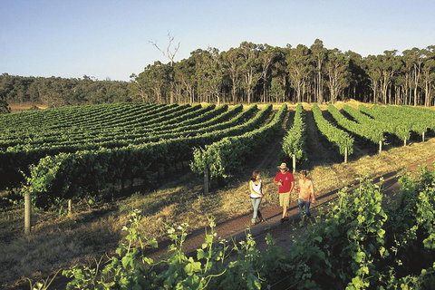 Margaret River, Caves, Wine And Cape Leeuwin Lighthouse Tour From Perth - Accommodation VIC 1