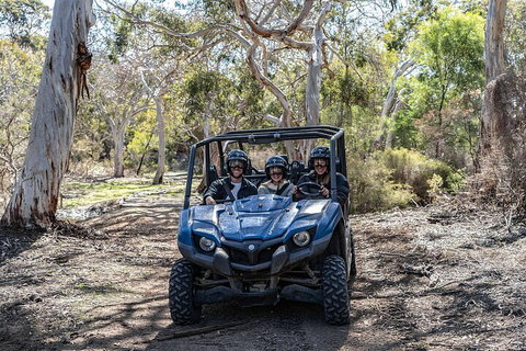Small-Group Buggy Tour At Little Sahara With Guide - Accommodation VIC 0