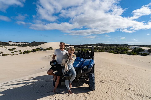 Small-Group Buggy Tour At Little Sahara With Guide - Accommodation VIC 2