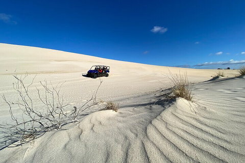 Small-Group Buggy Tour At Little Sahara With Guide - Accommodation VIC 3
