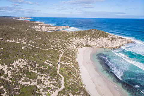 Small-Group Buggy Tour At Little Sahara With Guide - Accommodation VIC 4