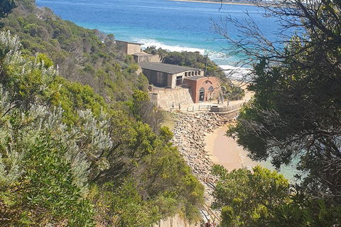 Fort Nepean And Quarantine Station Tour - Accommodation VIC 4