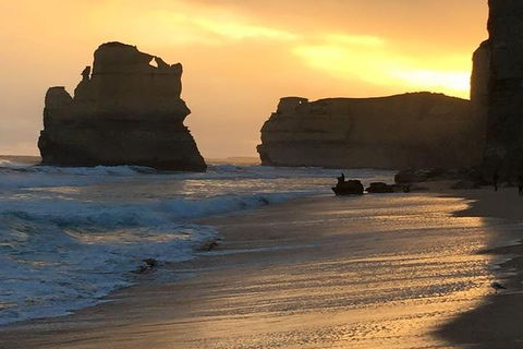 Great Ocean Road Small-Group Ecotour From Melbourne - Accommodation VIC 5