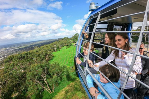 Peninsula Hot Springs Tour With Restaurant Lunch & Gondola Ride - Accommodation VIC 0