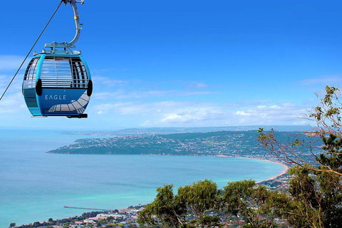 Peninsula Hot Springs Tour With Restaurant Lunch & Gondola Ride - Accommodation VIC 1