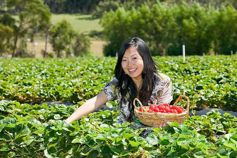 Peninsula Hot Springs Tour With Restaurant Lunch & Gondola Ride - Accommodation VIC 5