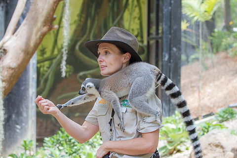Currumbin Wildlife Sanctuary General Entry Ticket - Accommodation VIC 1