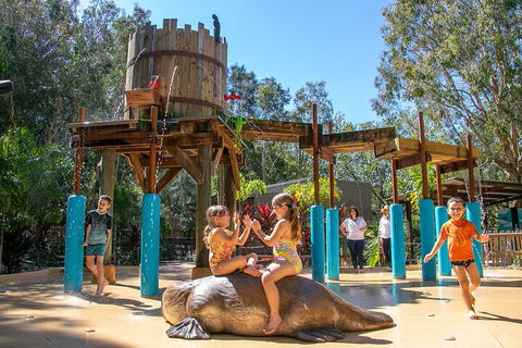 Currumbin Wildlife Sanctuary General Entry Ticket - Accommodation VIC 5