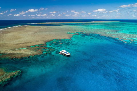Calypso Outer Great Barrier Reef Cruise From Port Douglas - Accommodation VIC 1