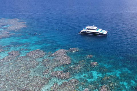 Calypso Outer Great Barrier Reef Cruise From Port Douglas - Accommodation VIC 4