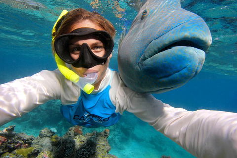 Calypso Outer Great Barrier Reef Cruise From Port Douglas - Accommodation VIC 5