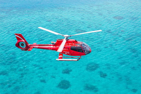Cruise To Moore Reef Pontoon And Return Helicopter Flight From Cairns - Accommodation VIC 1