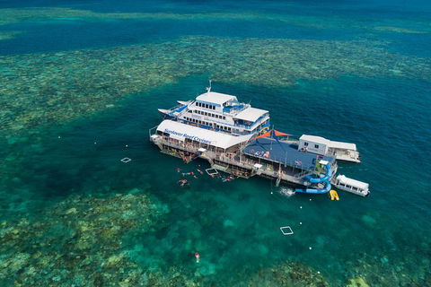 Cruise To Moore Reef Pontoon And Return Helicopter Flight From Cairns - Accommodation VIC 2