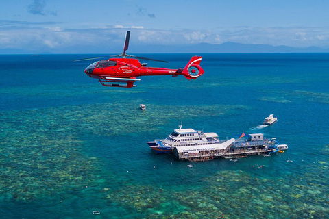 Cruise To Moore Reef Pontoon And Return Helicopter Flight From Cairns - Accommodation VIC 4