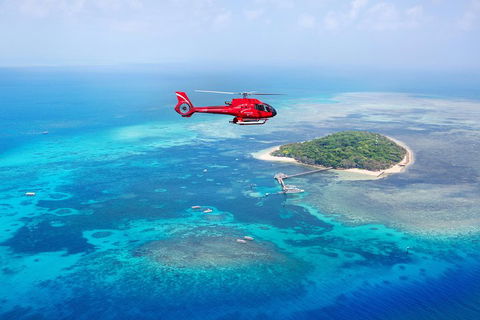 Fly To Green Island - Cruise Return - Accommodation VIC 3