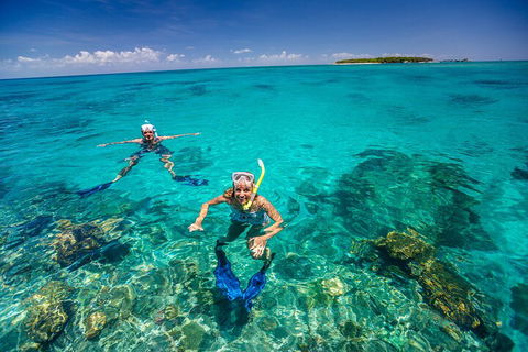 Fly To Green Island - Cruise Return - Accommodation VIC 4