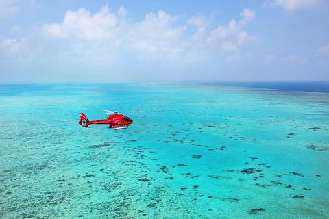 Helicopter And Cruise Packages From Port Douglas - Accommodation VIC 1