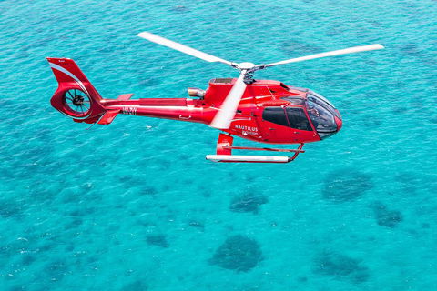 Helicopter And Cruise Packages From Port Douglas - Accommodation VIC 5