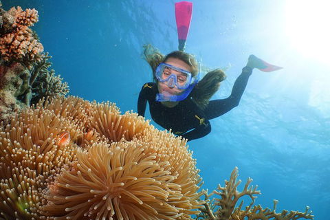 Port Douglas - Cruise And 10 Minute Scenic Flight - Accommodation VIC 3