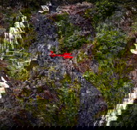 Ultimate Great Barrier Reef and Rainforest 45-minute Helicopter Tour - Accommodation VIC