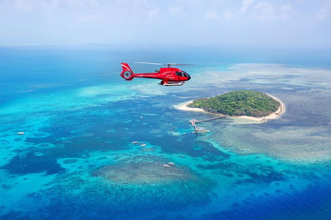 Ultimate Great Barrier Reef And Rainforest 45-minute Helicopter Tour - Accommodation VIC 4