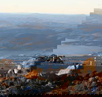 Mt. Wellington Bonorong and Richmond Day Tour from Hobart - Accommodation VIC