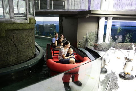 Sydney Attractions Pass: SEA LIFE Aquarium, Sydney Tower Eye, WILD LIFE Zoo And Madame Tussauds - Accommodation VIC 0