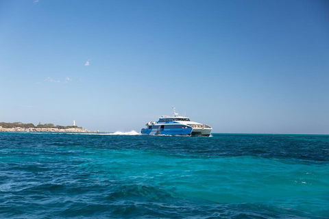 Fremantle To Rottnest Island Roundtrip Ferry Ticket - Accommodation VIC 5