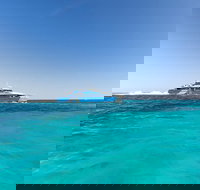 Rottnest Island Fortress Adventure Segway Package from Fremantle