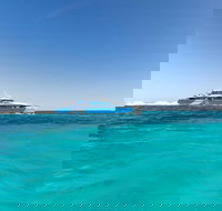 Rottnest Island Bayseeker Day Trip from Perth - Accommodation VIC