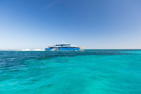 Rottnest Island Bayseeker Day Trip From Perth - Accommodation VIC 0