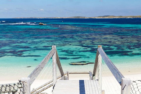 Rottnest Island Bayseeker Day Trip From Perth - Accommodation VIC 3