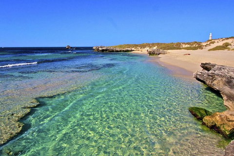 Rottnest Island Bayseeker Day Trip From Perth - Accommodation VIC 5